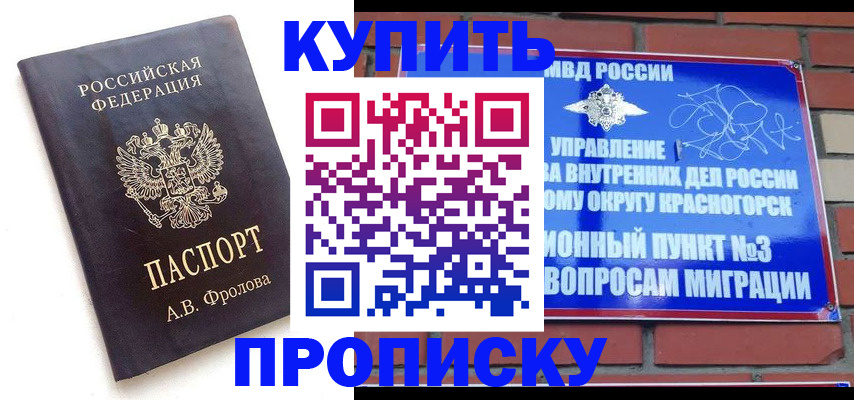 прописка поиск в Сураже